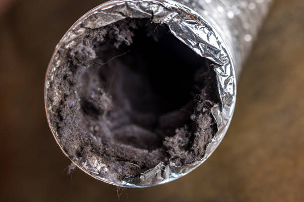 Best Air Duct Cleaning Near Me  in Isla Vista, CA