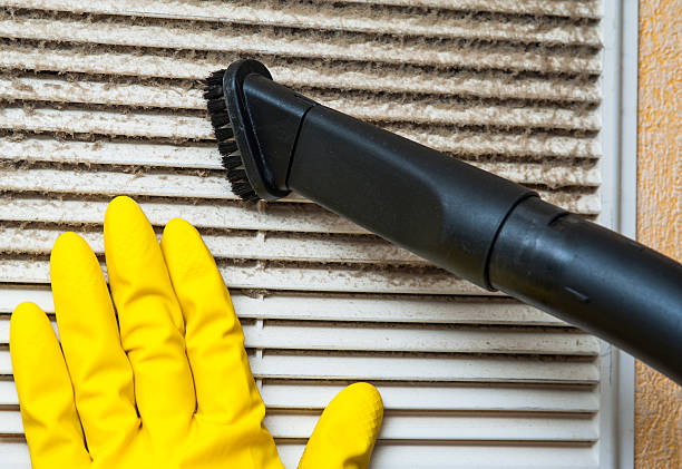 Best Affordable HVAC Duct Cleaning  in Isla Vista, CA